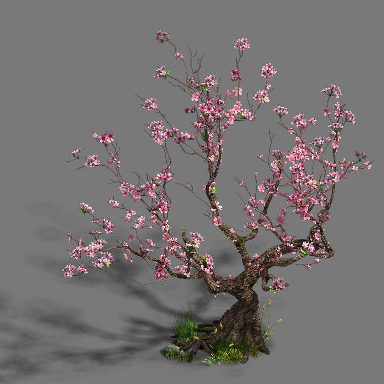 Forest - Peach Blossom Tree 21 3D model_3