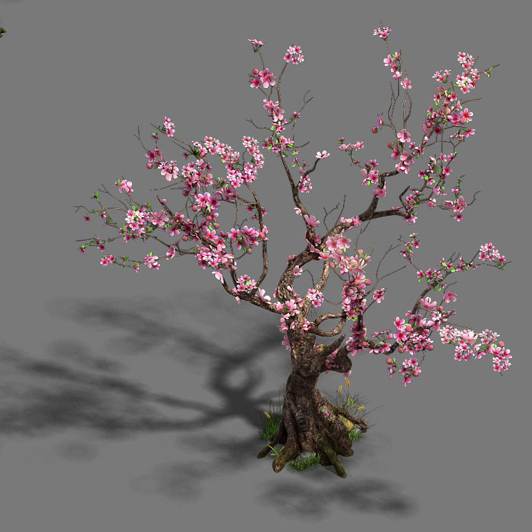Forest - Peach Blossom Tree 21 3D model_1