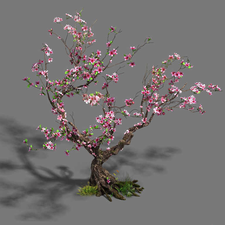 Forest - Peach Blossom Tree 21 3D model_2