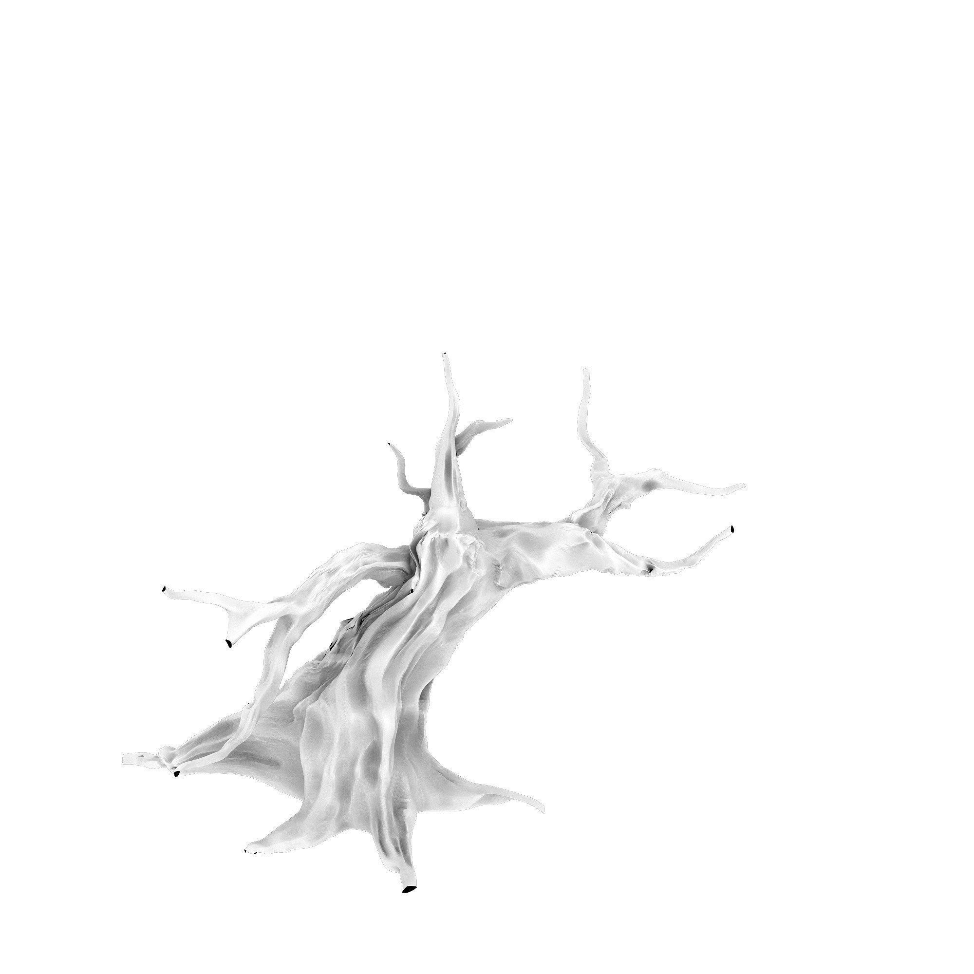 Desert - dead tree 12 3D model_2