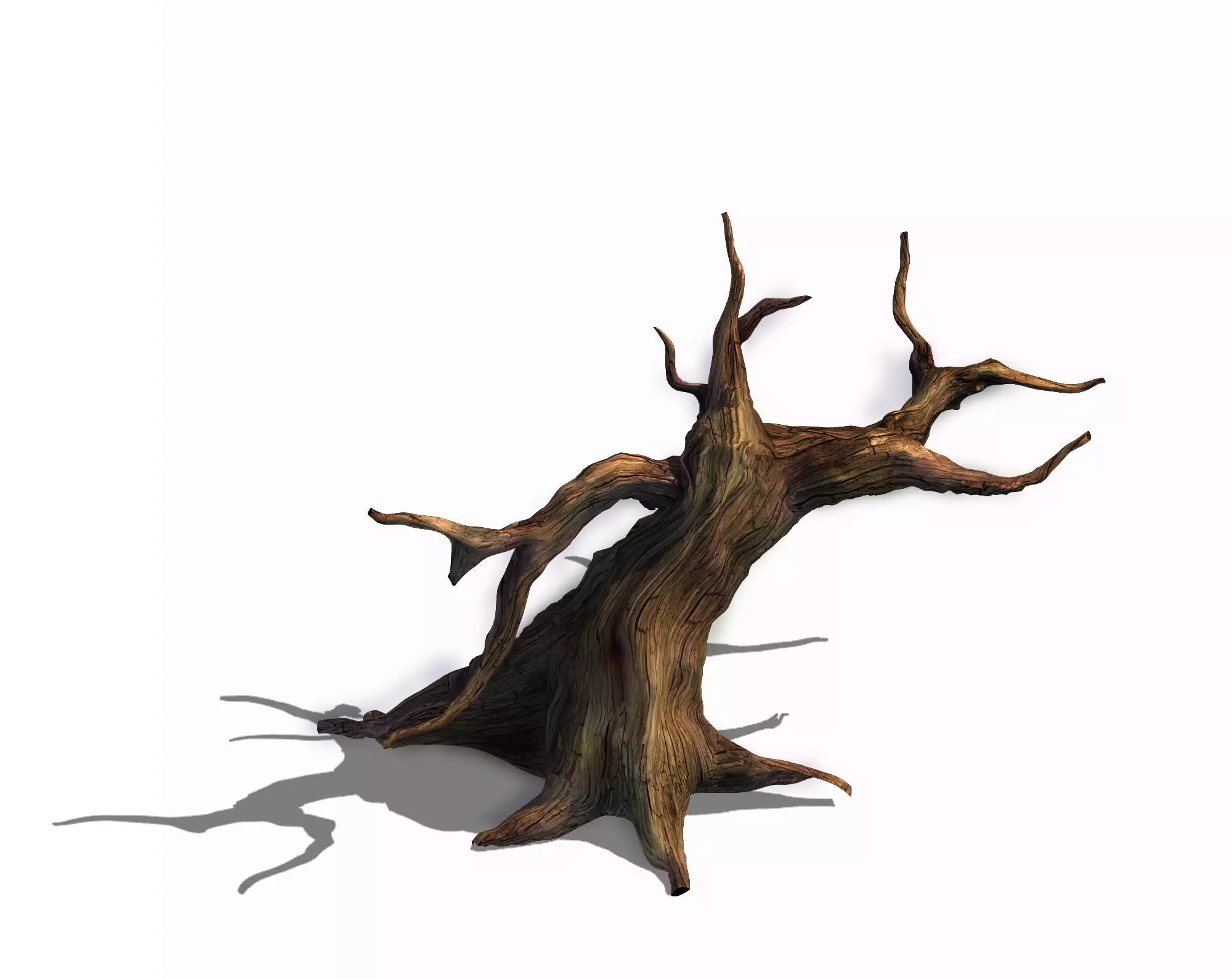 Desert - dead tree 12 3D model_0