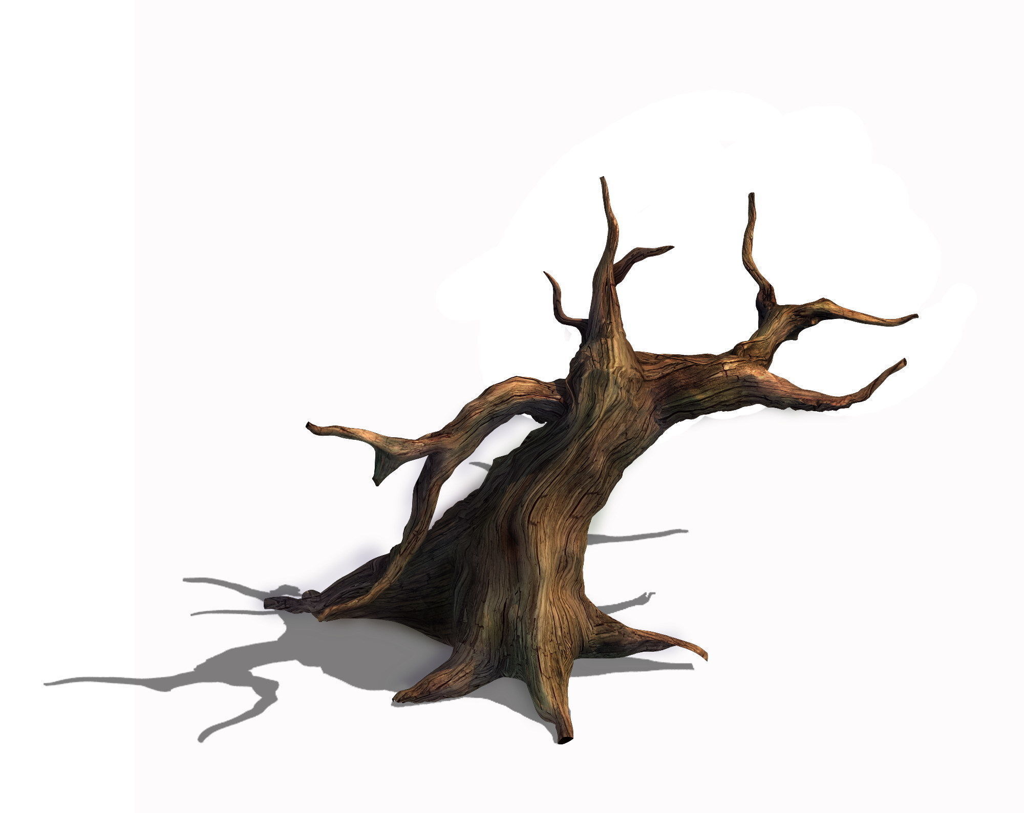 Desert - dead tree 12 3D model_1
