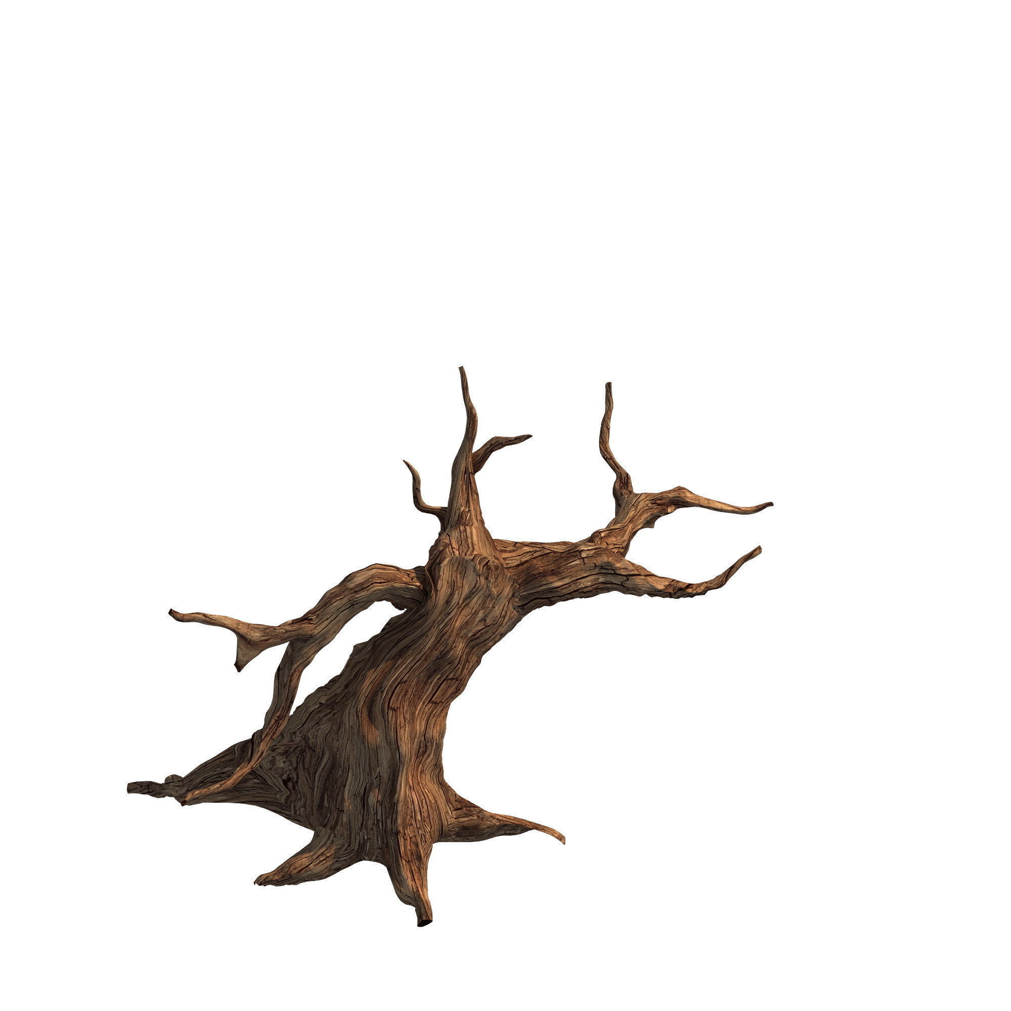 Desert - dead tree 12 3D model_3