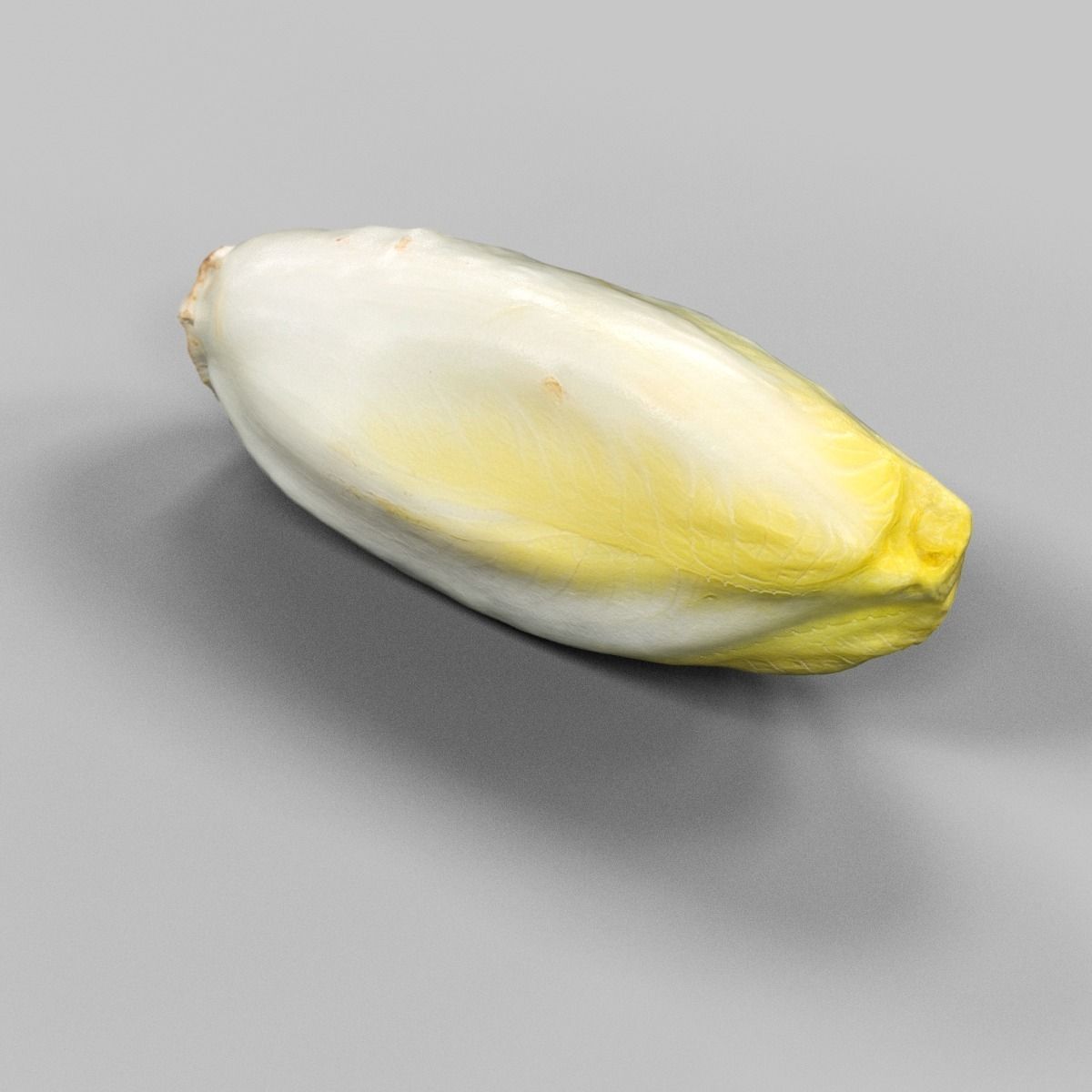 Chicory head of cauliflower Low-poly 3D model_0