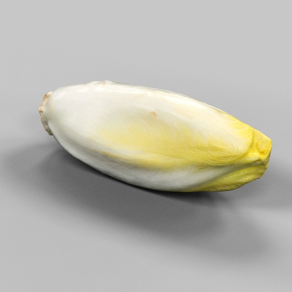 Chicory head of cauliflower Low-poly 3D model_2