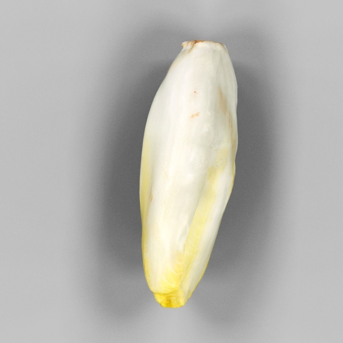 Chicory head of cauliflower Low-poly 3D model_1