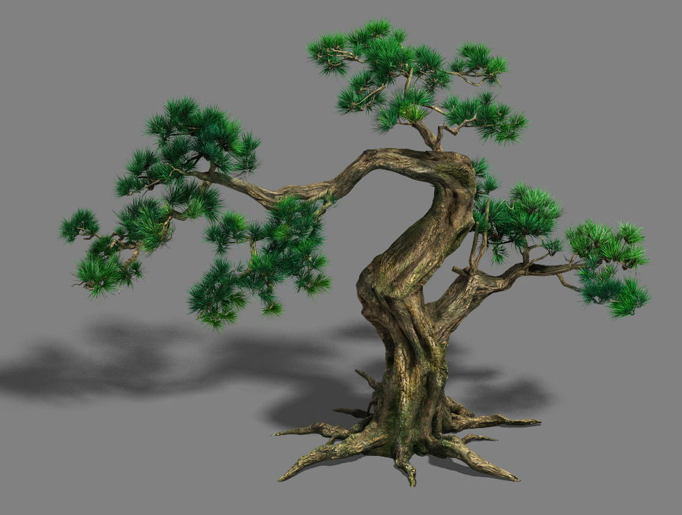 Forest - Pine 12 3D model_3