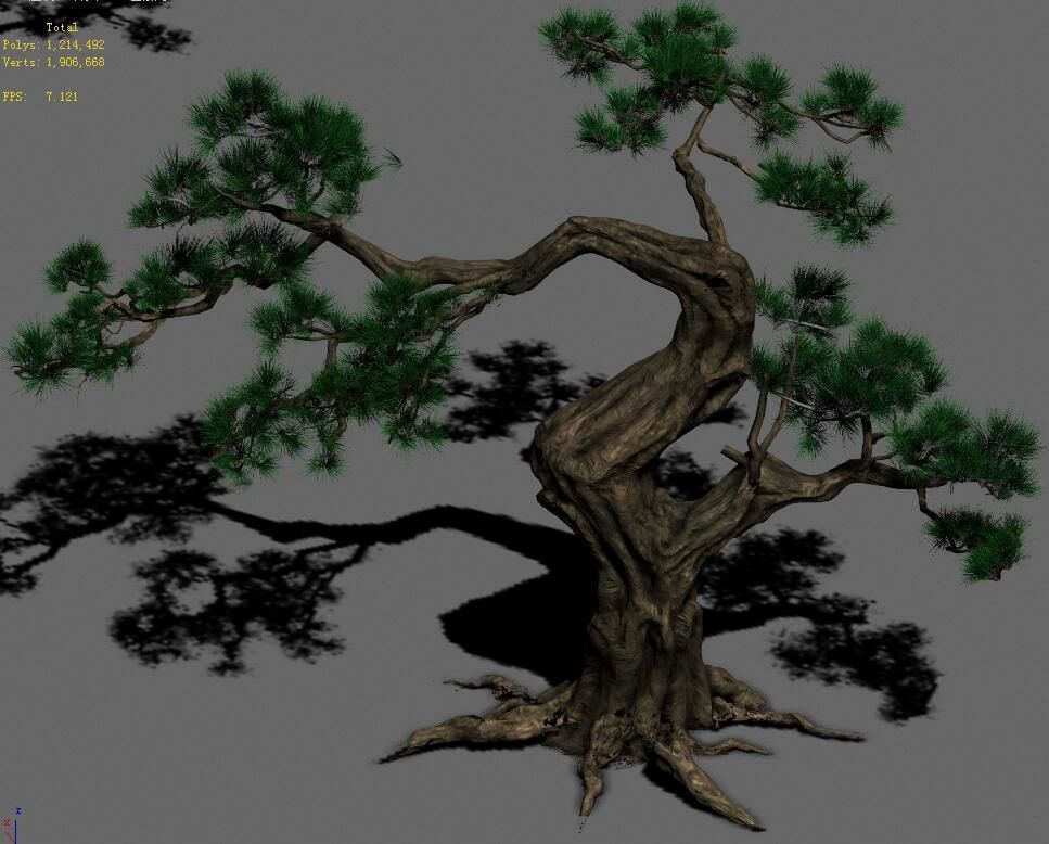 Forest - Pine 12 3D model_5