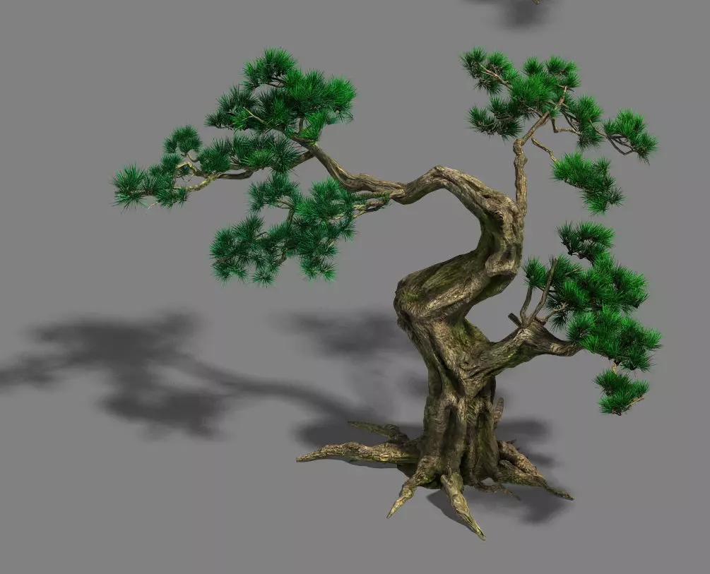 Forest - Pine 12 3D model_0