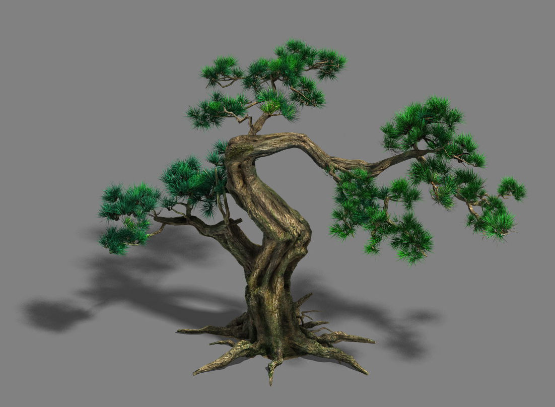 Forest - Pine 12 3D model_2