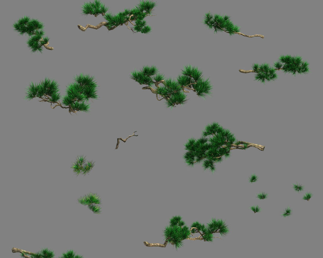 Forest - Pine 12 3D model_4