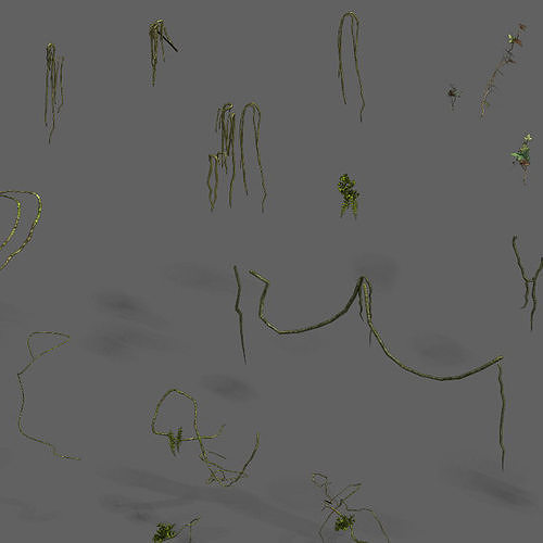 Shushan - vines 3D model