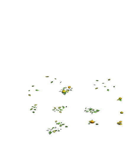 Woods - orange trees 3D model_1