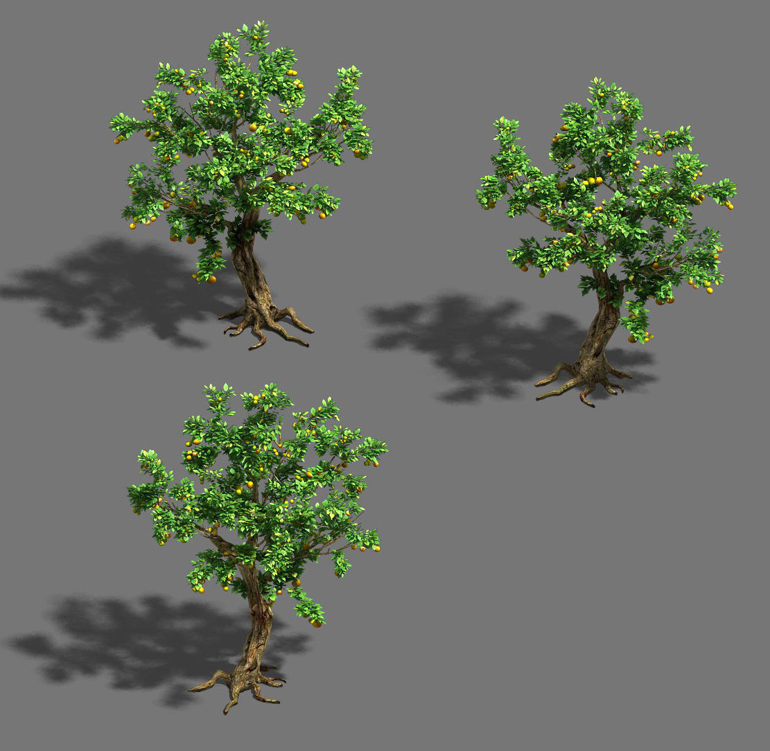Woods - orange trees 3D model_2