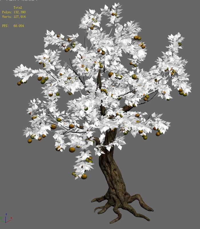 Woods - orange trees 3D model_3