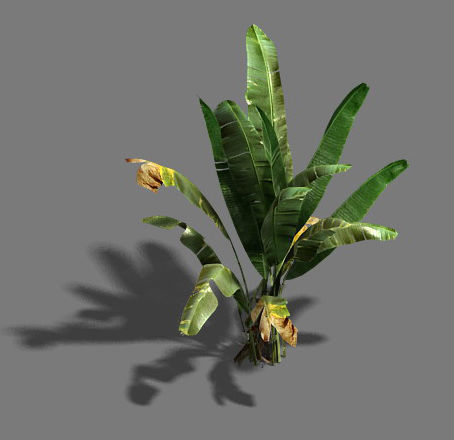 Trees - banana trees 3D model_2