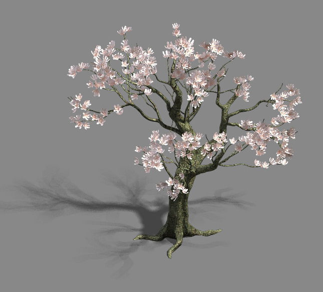 Trees - flowers tree 3D model_1