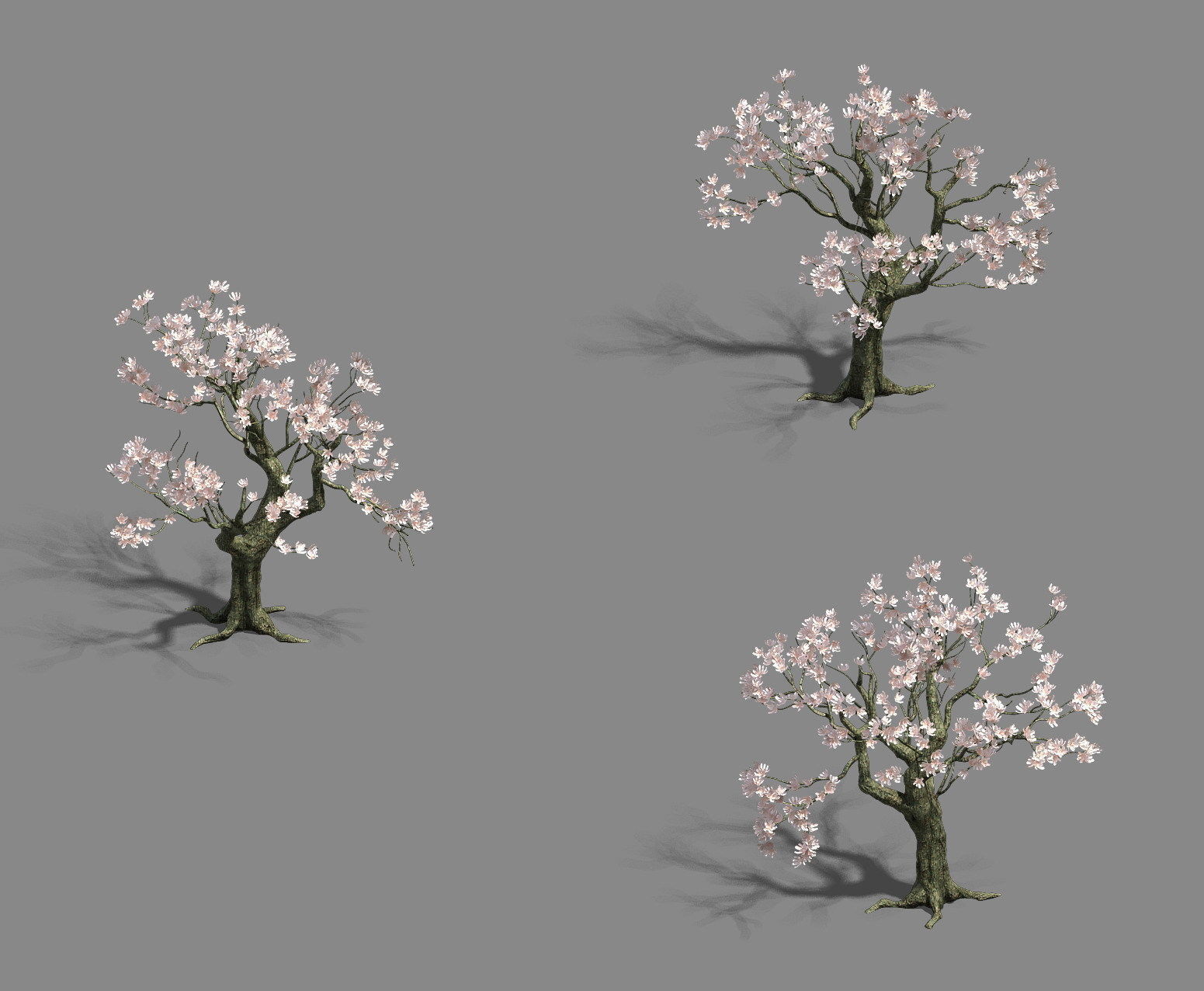 Trees - flowers tree 3D model_3