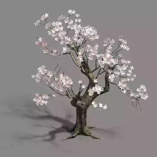 Trees - flowers tree