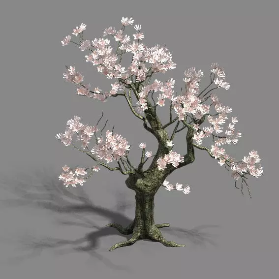 Trees - flowers tree 3D model_0