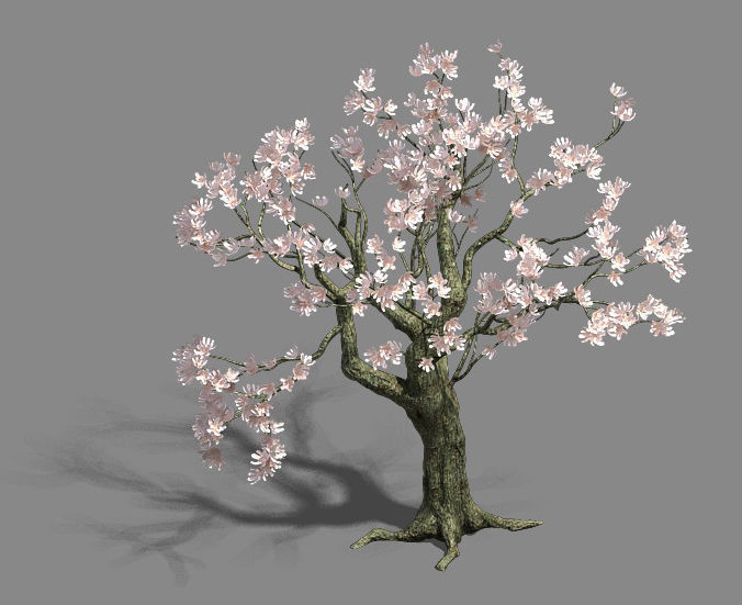 Trees - flowers tree 3D model_2