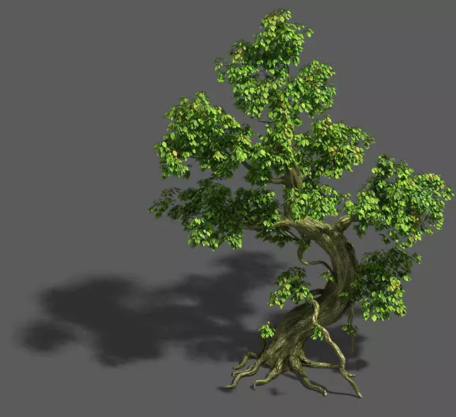 Trees - crooked neck tree 3D model