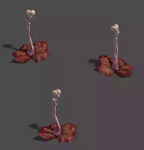 Water cloud Ze - plant - hail plant