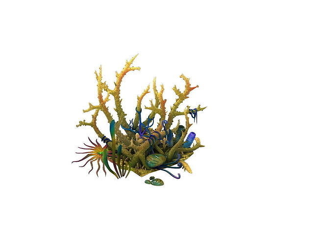 Game Model - Gifted Coral 3D model