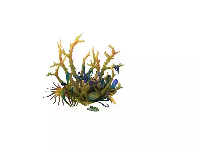 Game Model - Gifted Coral 3D model