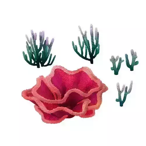 Game Model - Object Design - Tianjing Coral 04