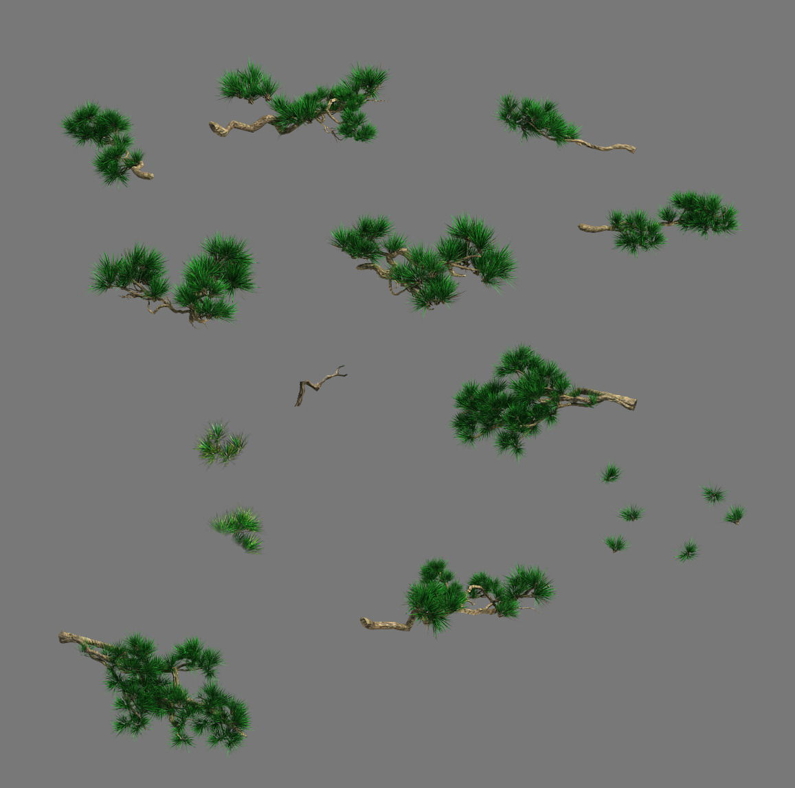 Cliff side - pine 3D model_4