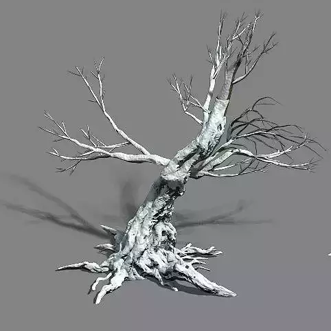 Snow - dead tree 1