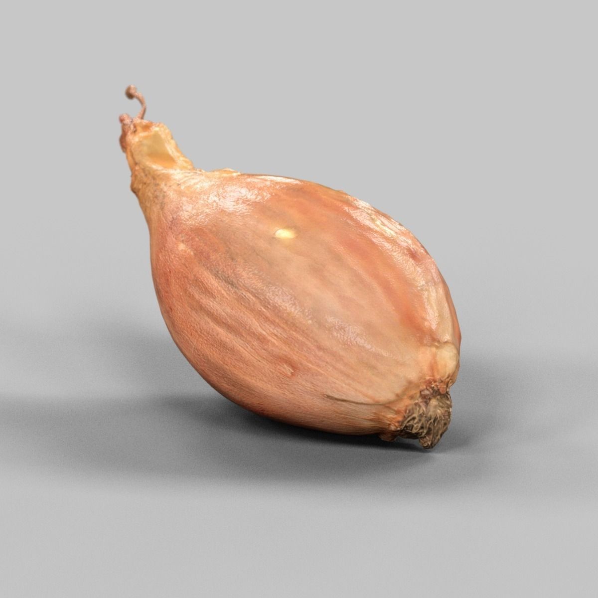 Sjalotte Onion Low-poly 3D model_1