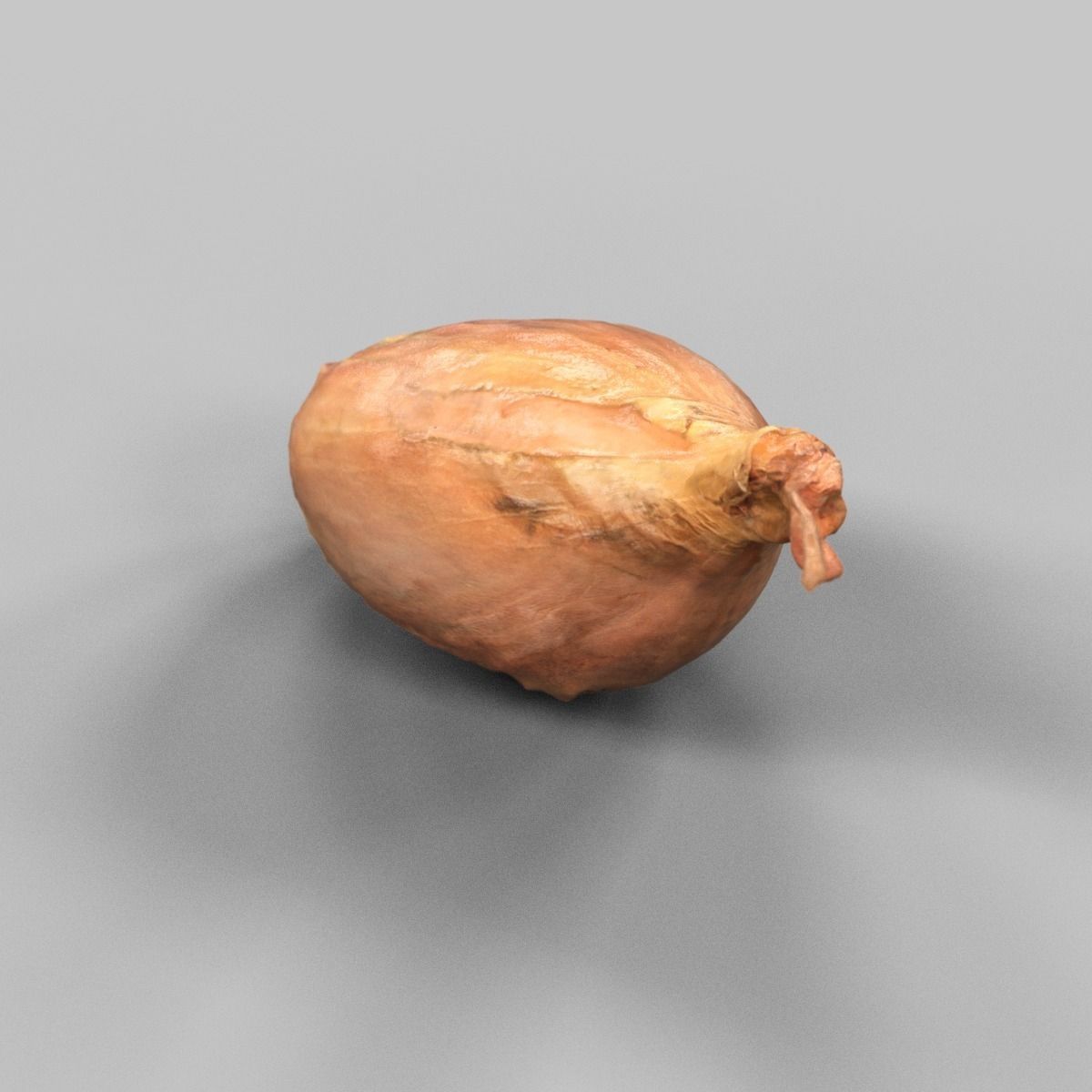 Sjalotte Onion Low-poly 3D model_2