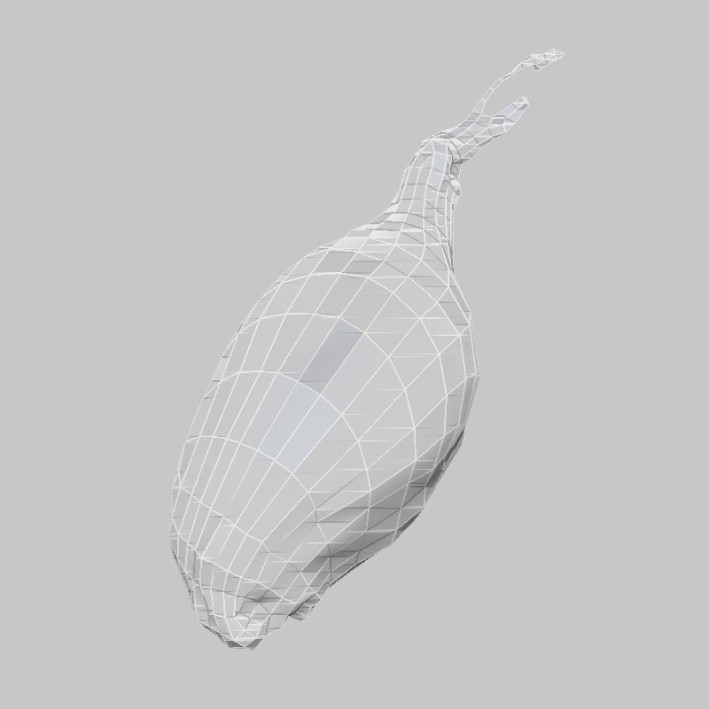 Sjalotte Onion Low-poly 3D model_5
