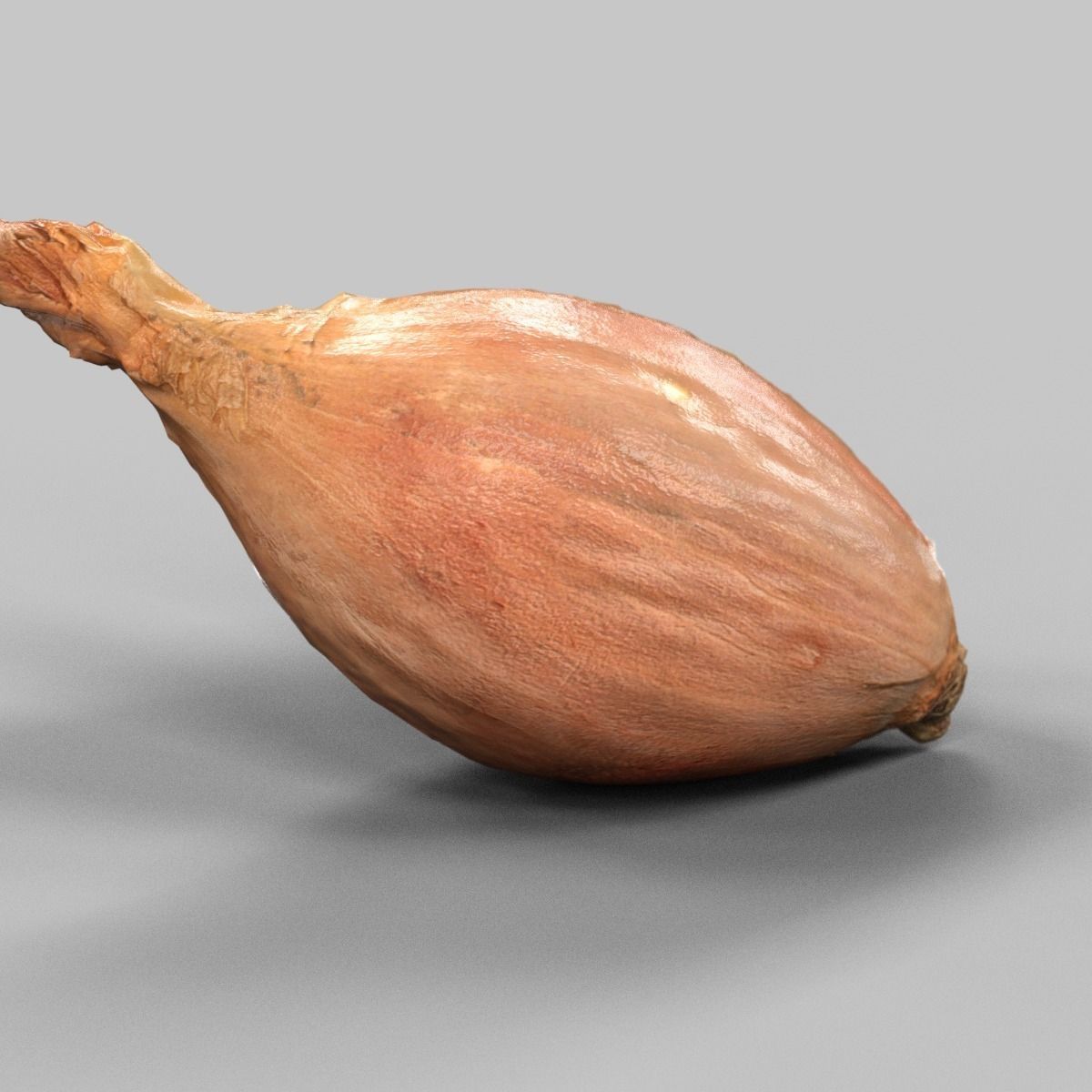 Sjalotte Onion Low-poly 3D model_4