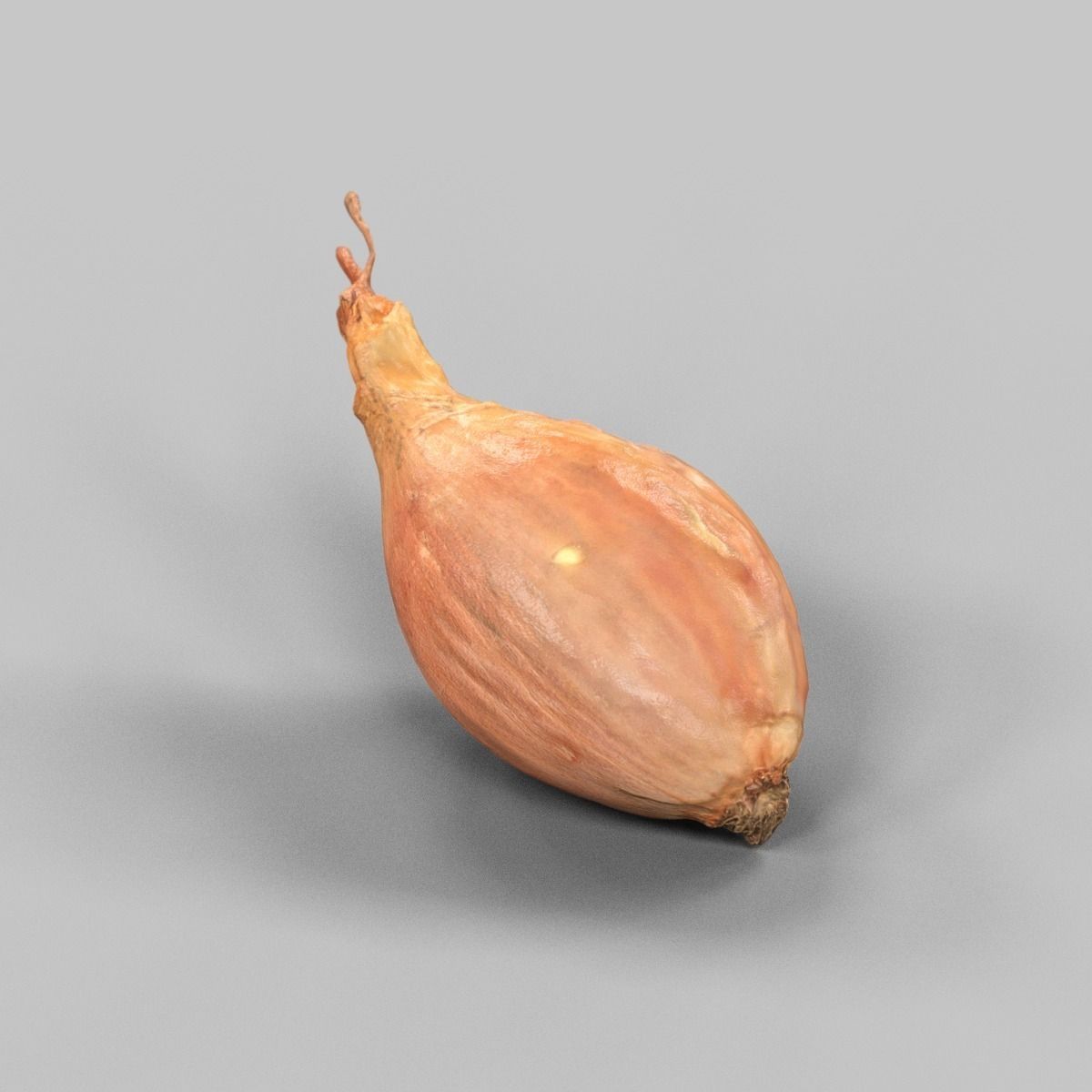 Sjalotte Onion Low-poly 3D model_3