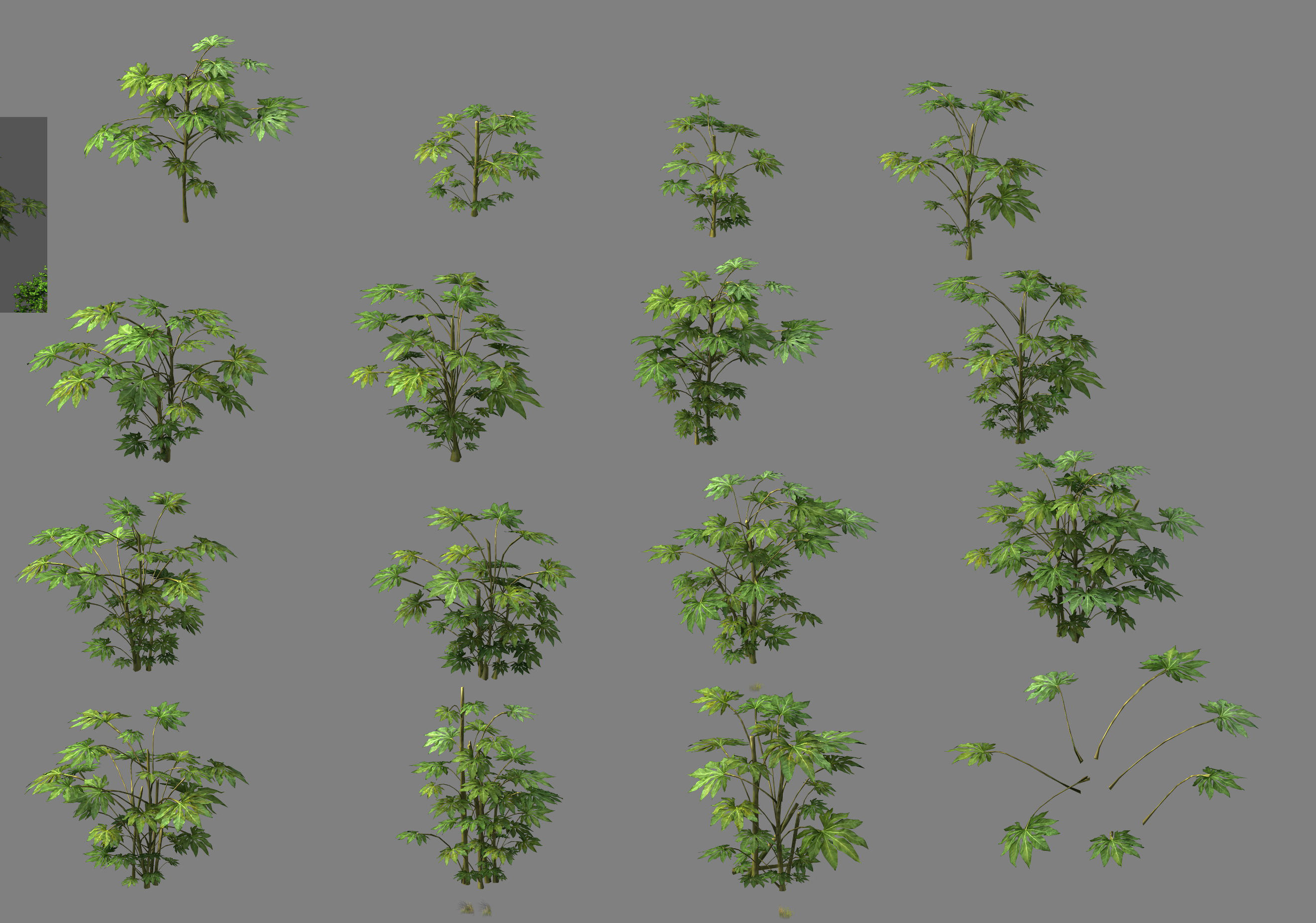 Wild plants - flowers 06 3D model_1