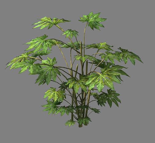 Wild plants - flowers 06 3D model