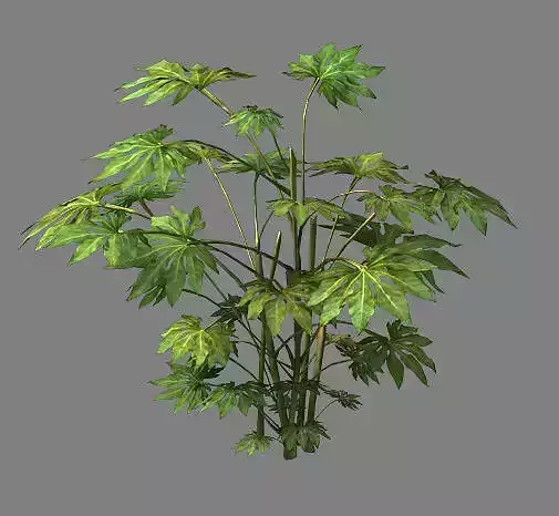 Wild plants - flowers 06 3D model