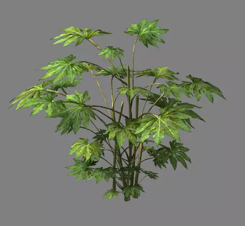 Wild plants - flowers 06 3D model_0