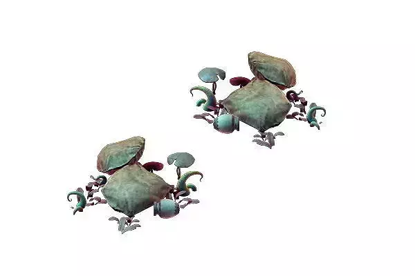 poison Valley scene - Food and poisonous mushrooms