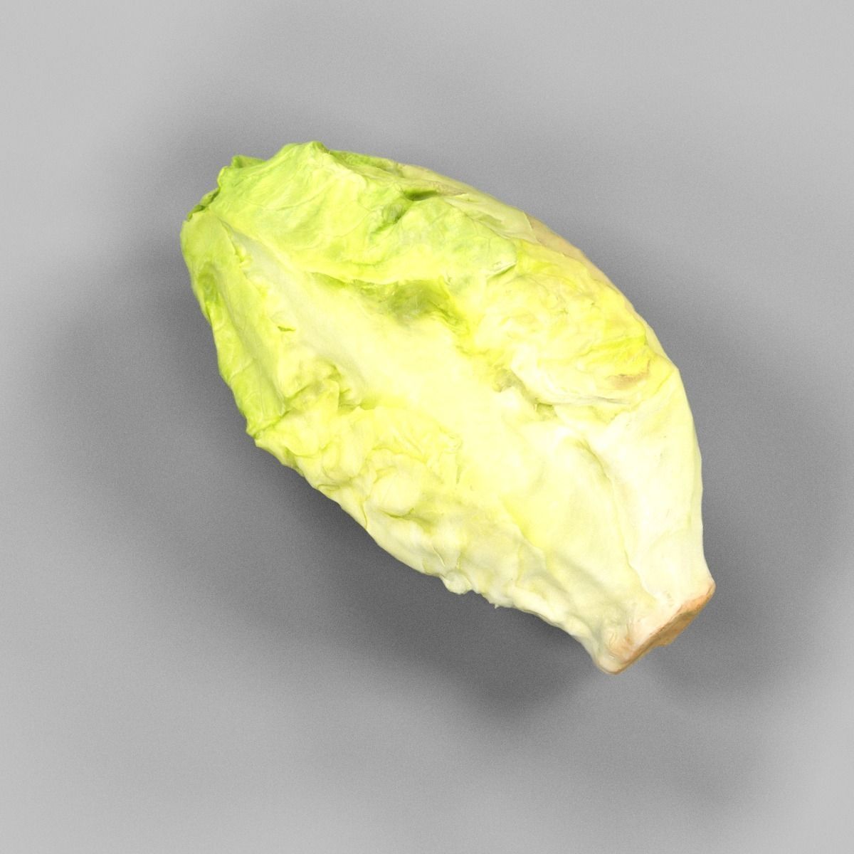 Mini Salad Low-poly 3D model_4