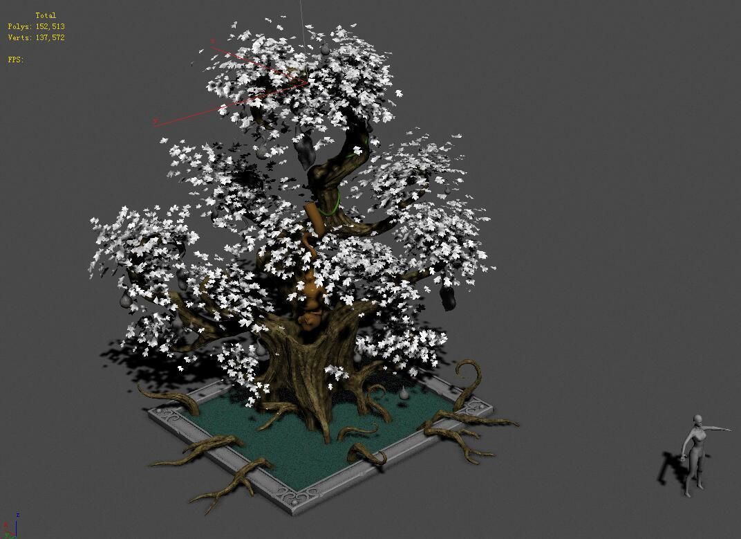 Plant growth process - ginseng fruit 3D model_1