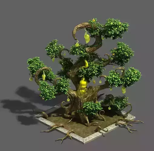 Plant growth process - ginseng fruit