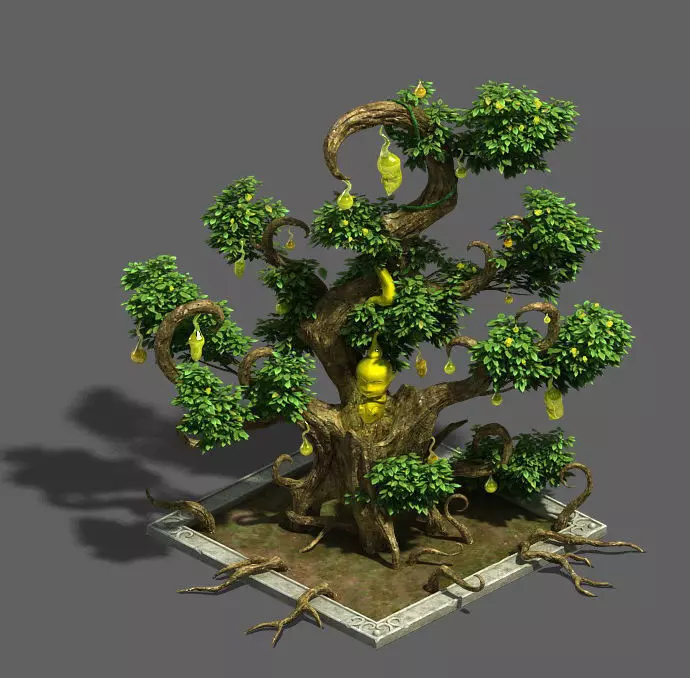 Plant growth process - ginseng fruit 3D model_0