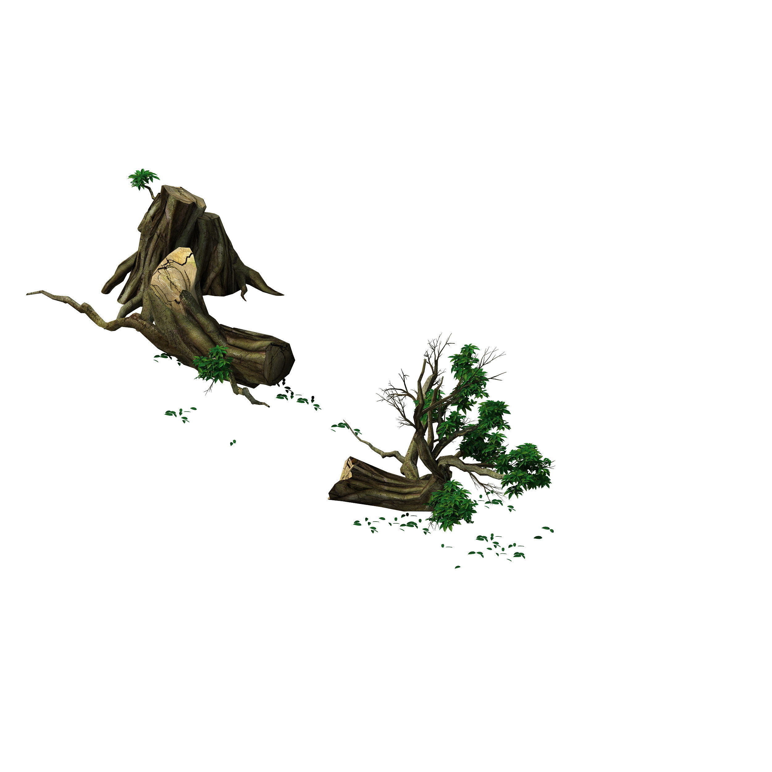 Plant - broken tree 01 3D model_1