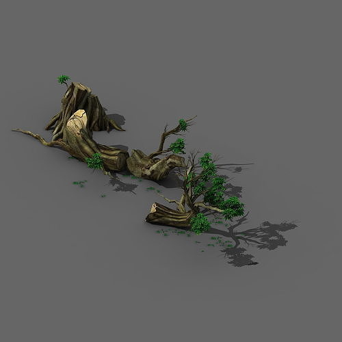 Plant - broken tree 01 3D model