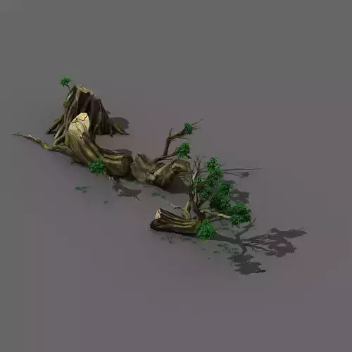 Plant - broken tree 01 3D model