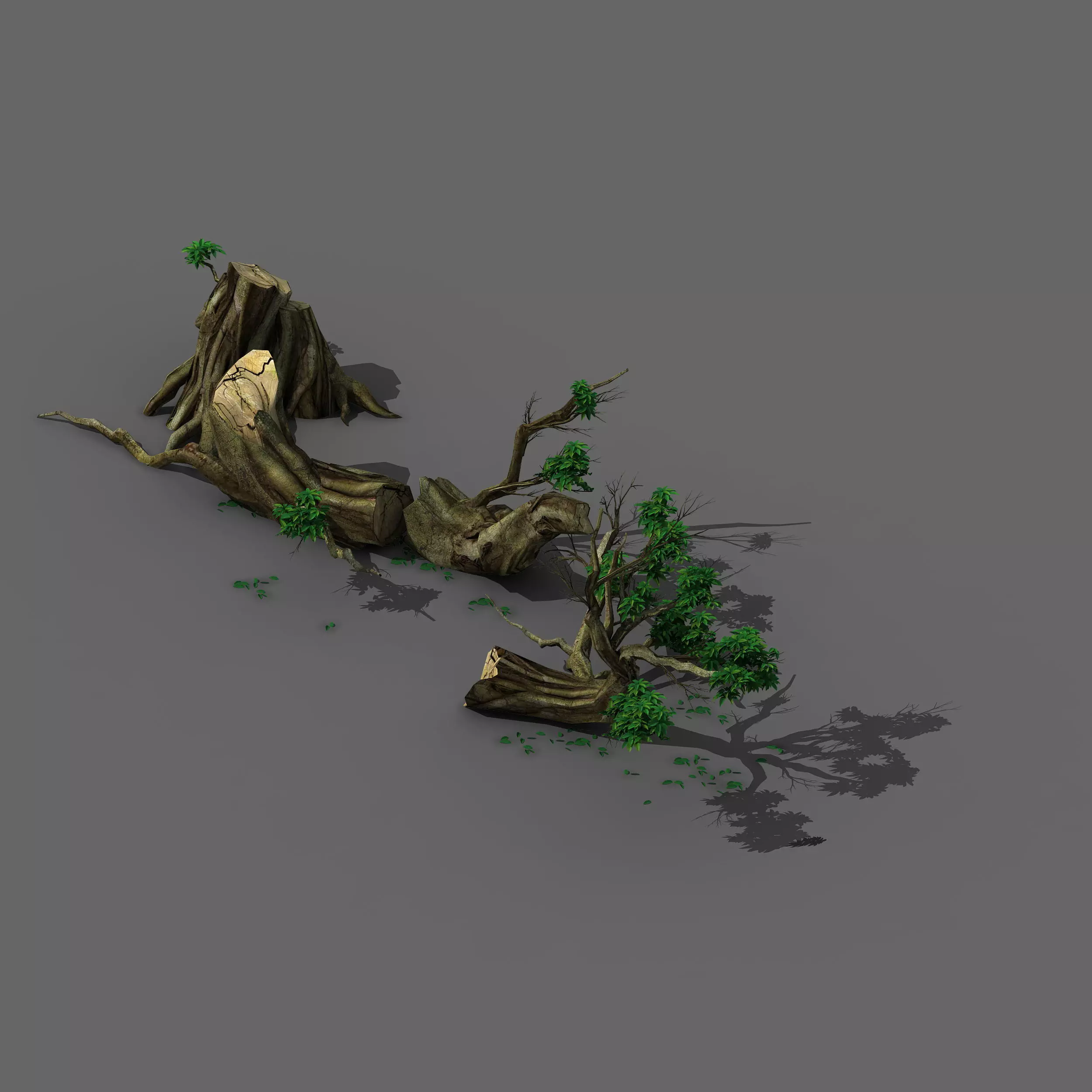Plant - broken tree 01 3D model_0